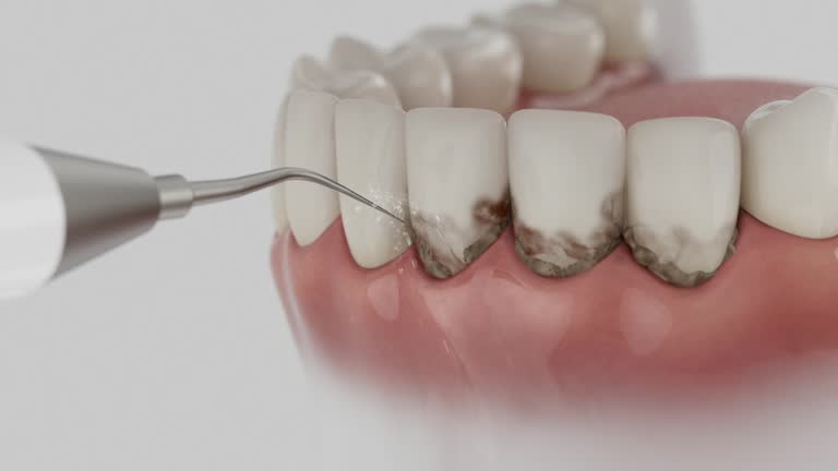 Reliable Dental contractor in Manchaca, TX by Dentist Open Now